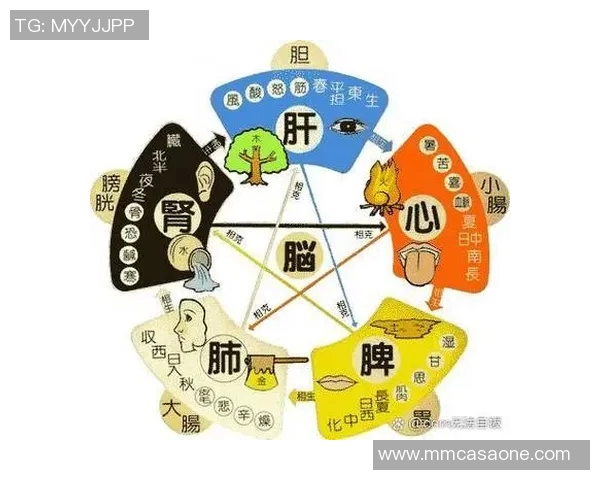 姚明的健康秘诀揭秘:他常用的穴位与养生技巧分析 姚明的健康秘诀揭秘:他常用的穴位与养生技巧分析