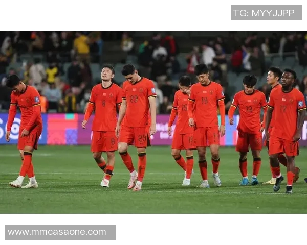 2020年中国足球明星盘点与未来发展展望