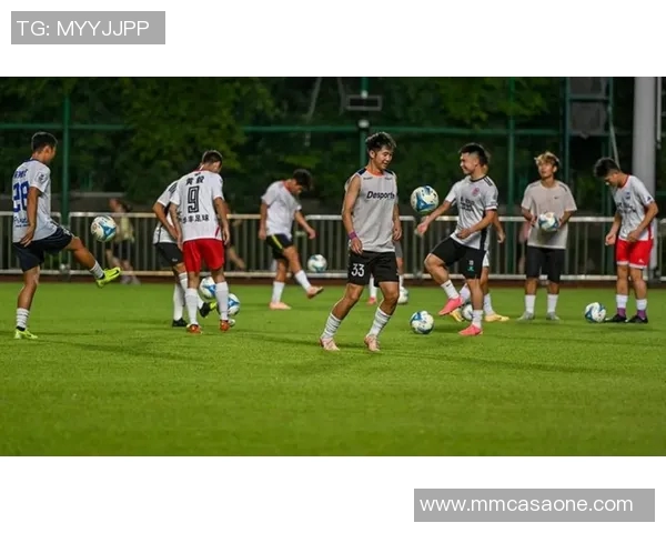 湖南株洲足球明星的崛起与成就探秘及其对地方足球的影响 湖南株洲足球明星的崛起与成就探秘及其对地方足球的影响