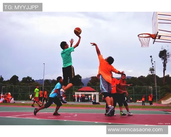 篮球明星专用篮球的独特设计与性能解析助你提升球技的秘密武器