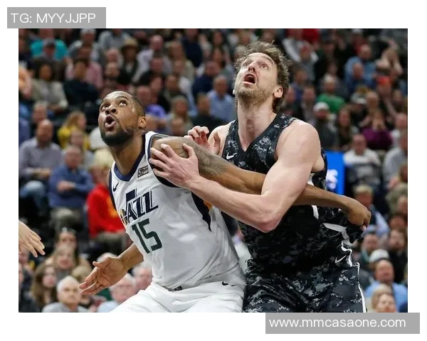 篮球明星香蕉的传奇之路与运动精神的完美结合